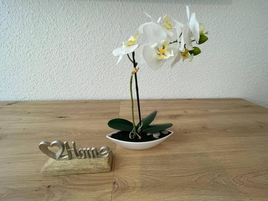 Lucky Stays Ls01 - Vollausstattung - Zentrum - Aufzug - Grosse Kueche - 2 Zimmer - Smart-Tv 마그데부르크 외부 사진